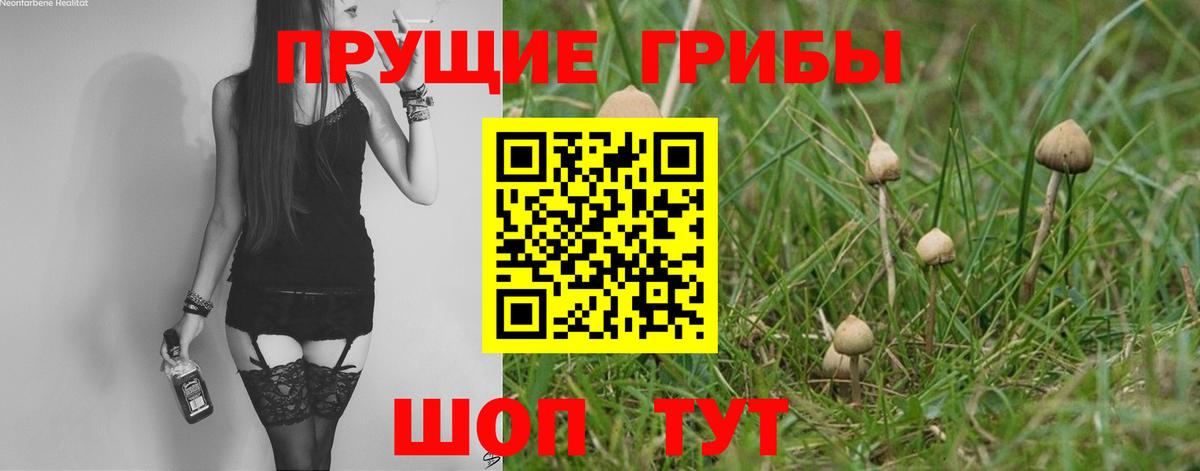 Псилоцибиновые грибы прущие грибы  Вход с VPN  Дербент 